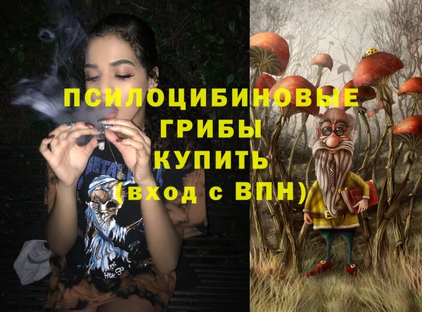 сатива Богородицк