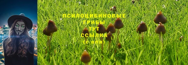 стаф Бугульма