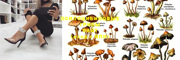 гидропоника Бородино