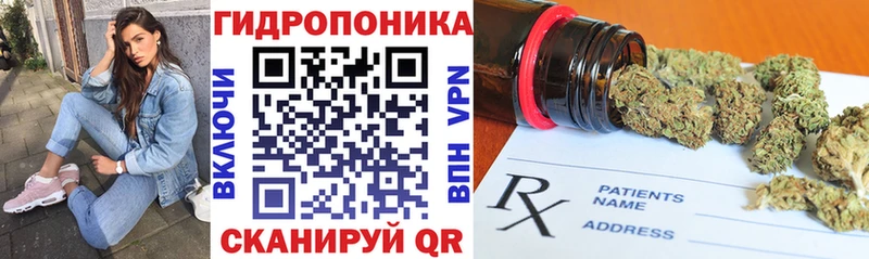 купить  цена  Нижнекамск  Шишки марихуана семена 